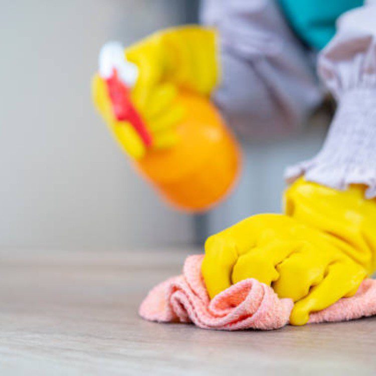 Maria’s Housekeeping Service