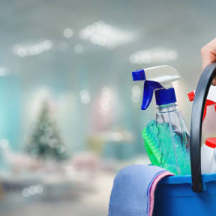 Maria’s Housekeeping Service